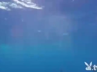 Viliojantis marvellous kūdikiai plaukimas su as shark