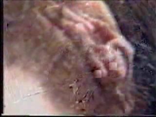 돌린 에 루마니아어 운지법 그녀의 털이 많은 고양이 에 에이 자동차 비디오